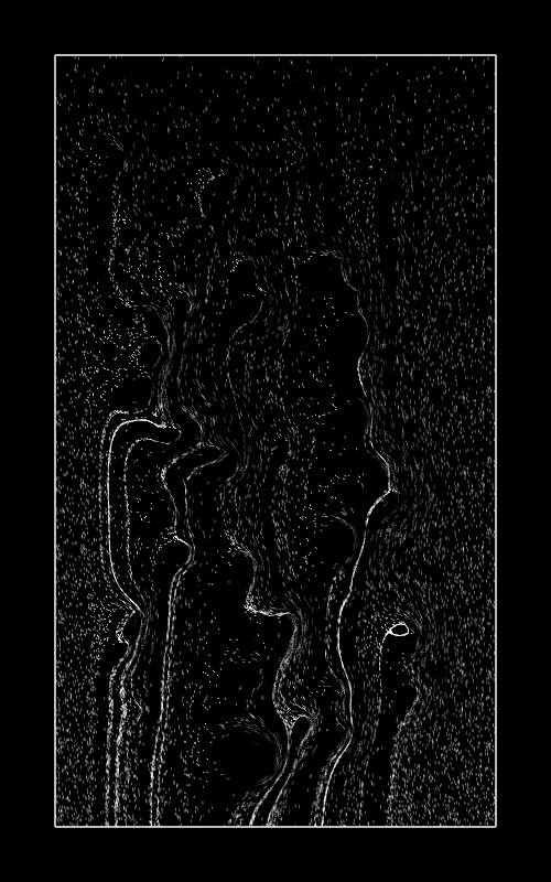 2017_19_earlyflowfield