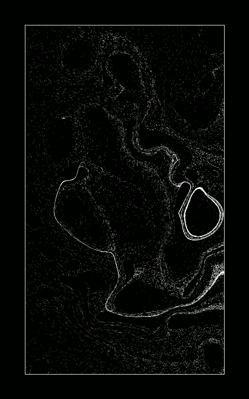 2018_3_weirdflowfield