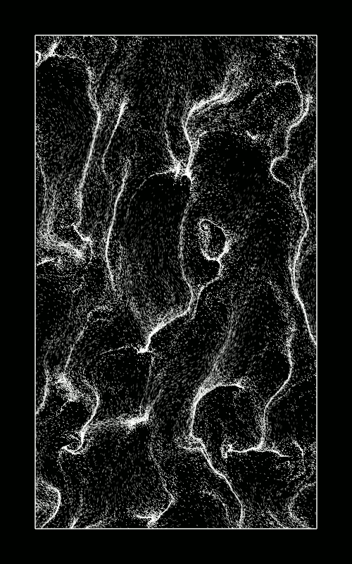 2018_44_noiseflowfield