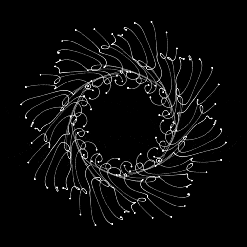 2018_9_connexions_colossal