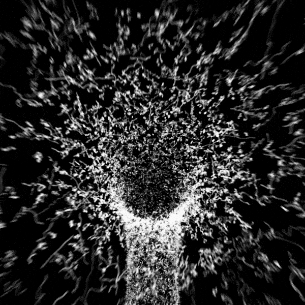2019_7_transparenttorus