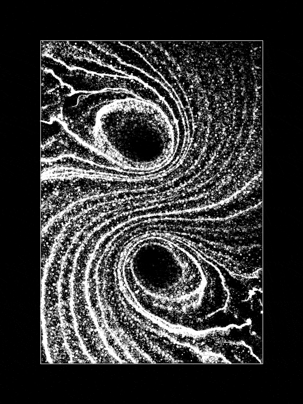 2020_1_flowfield2centers