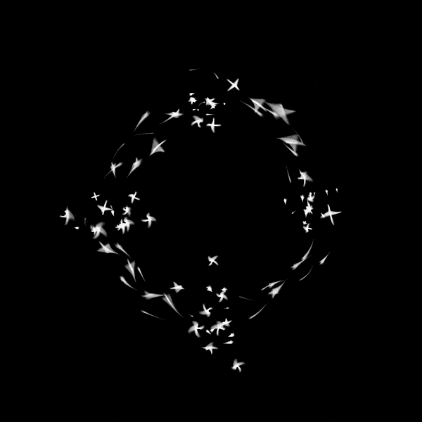 2020_2_circledance