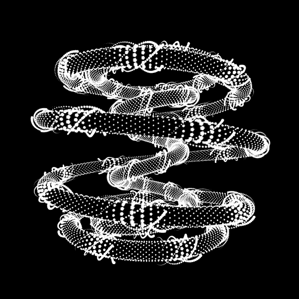 2023_2_toruscurve