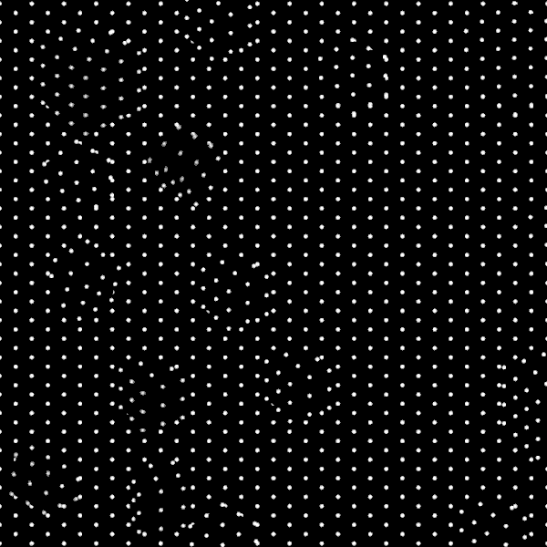 2023_9_cubescamouflage