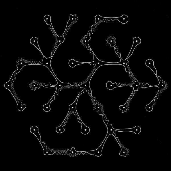 2025_treecontourwave